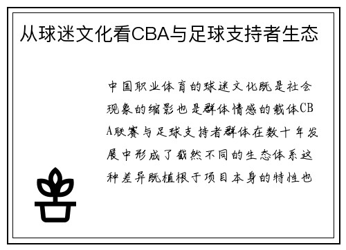从球迷文化看CBA与足球支持者生态